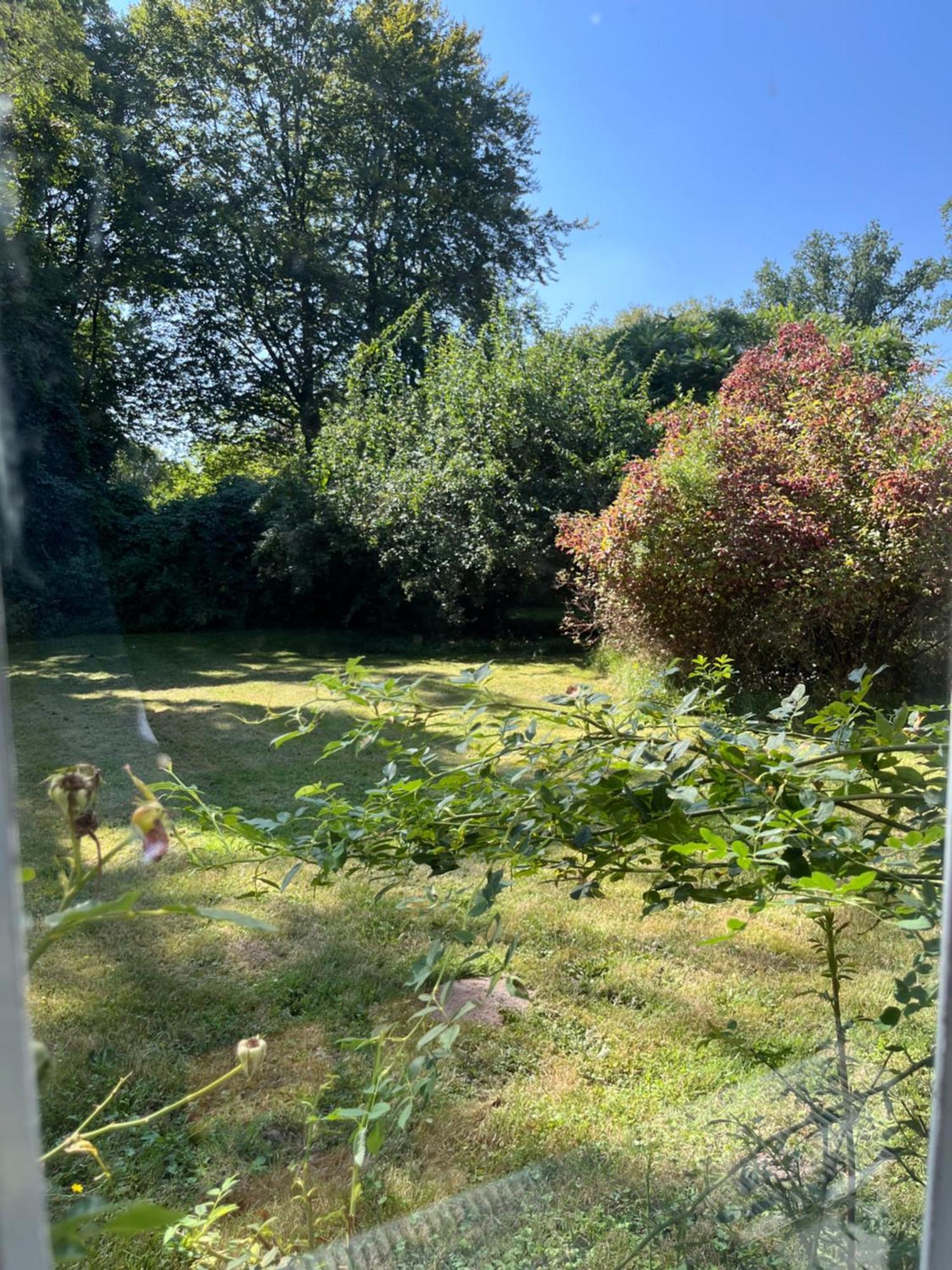 „altes Forsthaus“ Am Schloss Apartment *